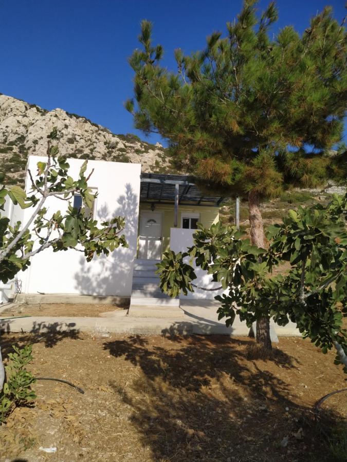 Albatros Studios & Apartments Lefkos  ภายนอก รูปภาพ